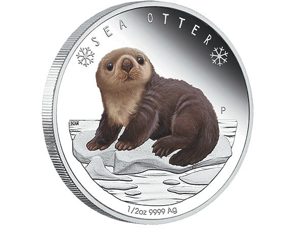 Изображение Фото автора. 