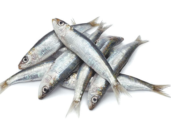 Изображение Фото: Супруненко Владимира. 