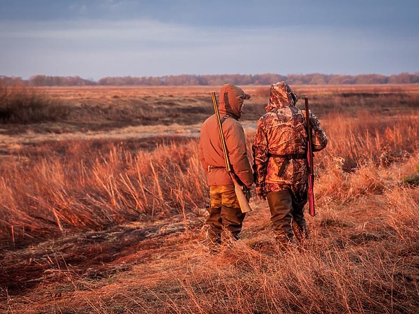 Изображение фото: fotolia.com