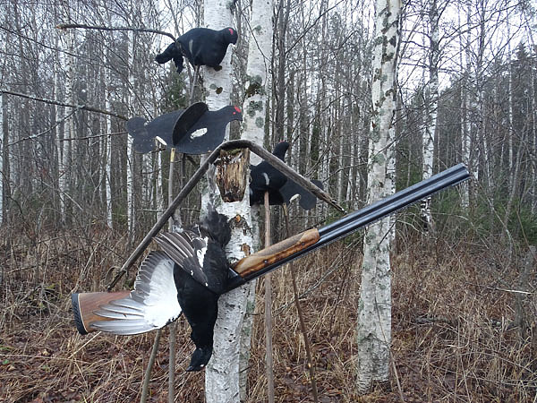 Изображение Фото автора.