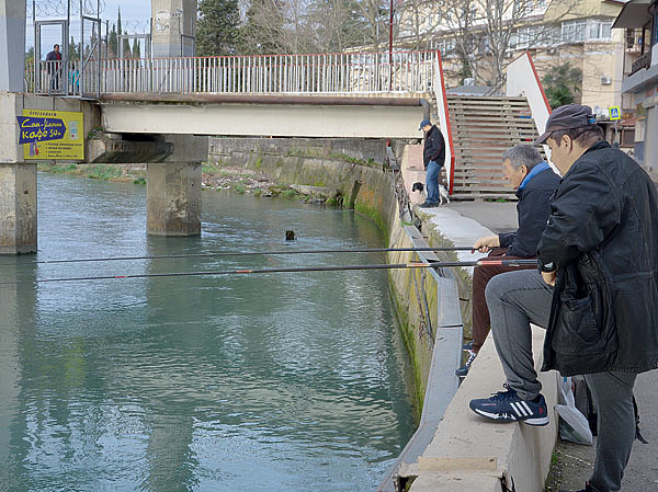 Изображение Нужно внимательно следить за поплавком, чтобы не пропустить деликатные поклевки. Фото: Геннадий Шеляг.