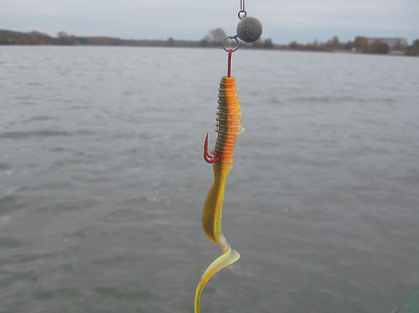 Изображение Фото: Александр Токарев.