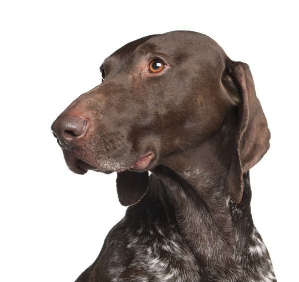 Изображение фото: Fotolia.com