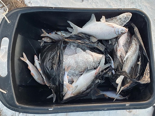 Изображение Фото: Коломийца Алексея. 