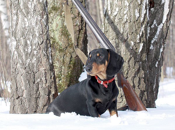 Изображение ФОТО АНТОНА ЖУРАВКОВА