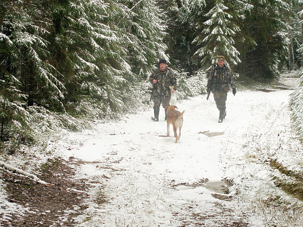 Изображение Долгожданная первая пороша принесла удачу. Фото автора. 