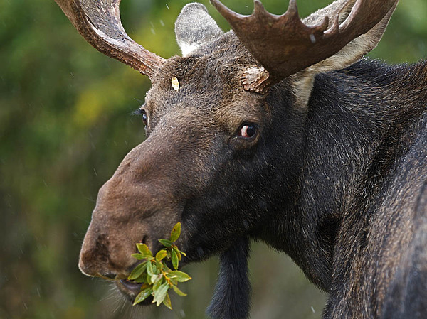 Изображение фото: Fotolia.com