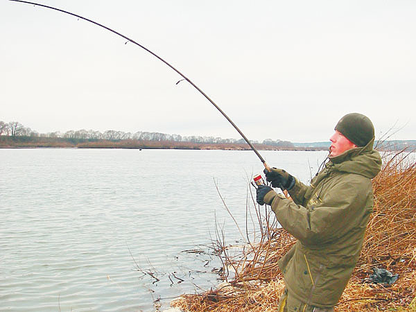 Изображение Фото: Маилкова Анатолия. 