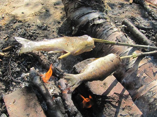 Изображение Фото: Владимир Супруненко.