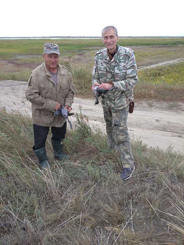 Изображение фото: Алексея Стефановича 