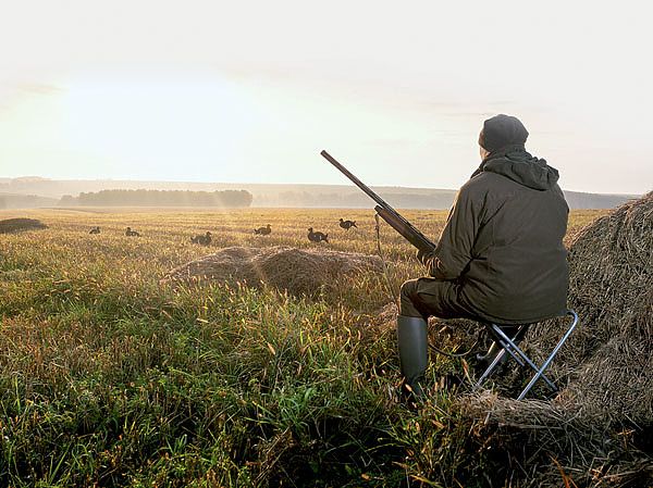Изображение Каждый охотник должен постоянно открывать для себя что-то новое и учиться на ошибках, чтобы в итоге получить результат. ФОТО SHUTTERSTOCK 