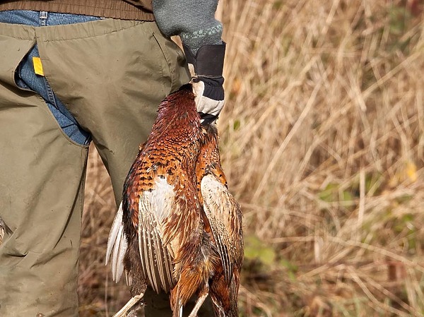 Изображение фото: Fotolia.com