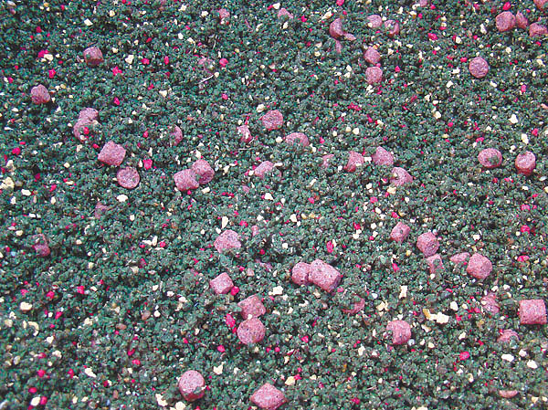 Изображение Фото: Линника Николая.