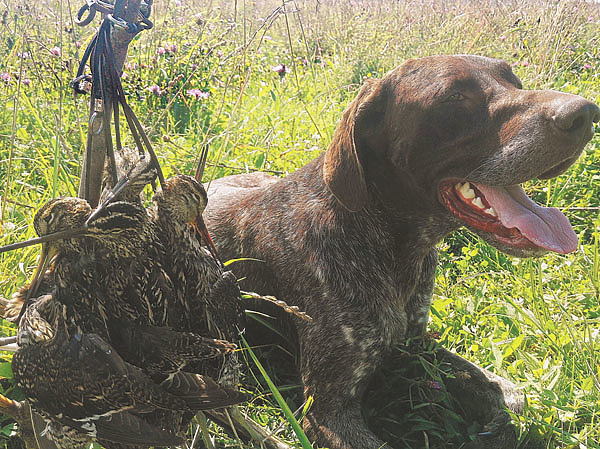 Изображение Фото Геннадия Гальперина 