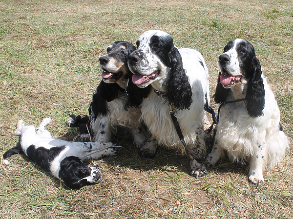 Изображение фото: Сергея Фокина
