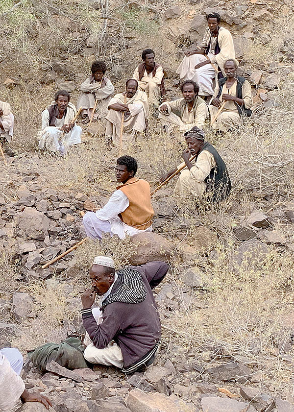 Изображение Любая встреча в пустыне рано или поздно превращается в местное «партсобрание». Фото автора.