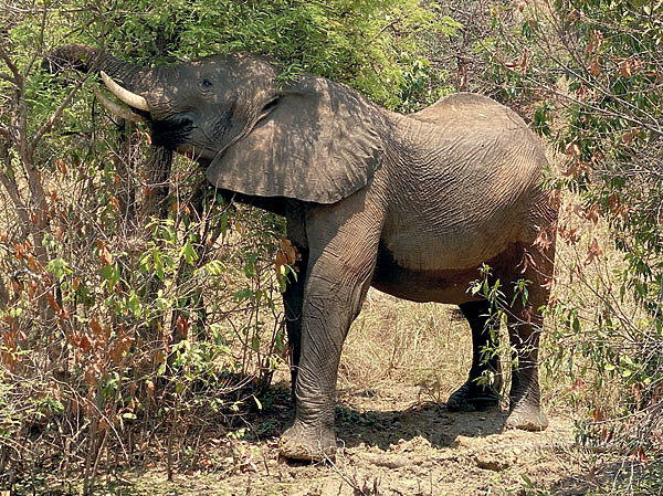 Изображение Фото автора. 