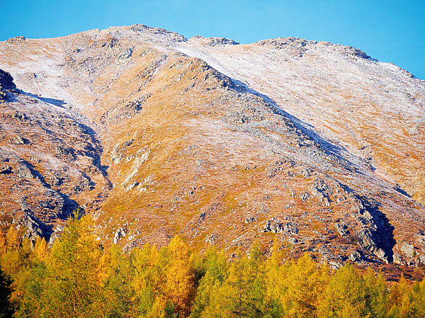 Изображение Фото автора. 
