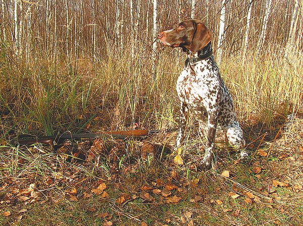 Изображение Фото автора.