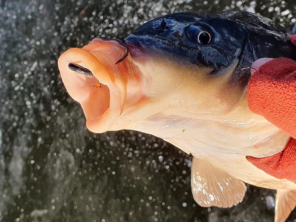 Изображение Фото: Алексей Коломиец. 