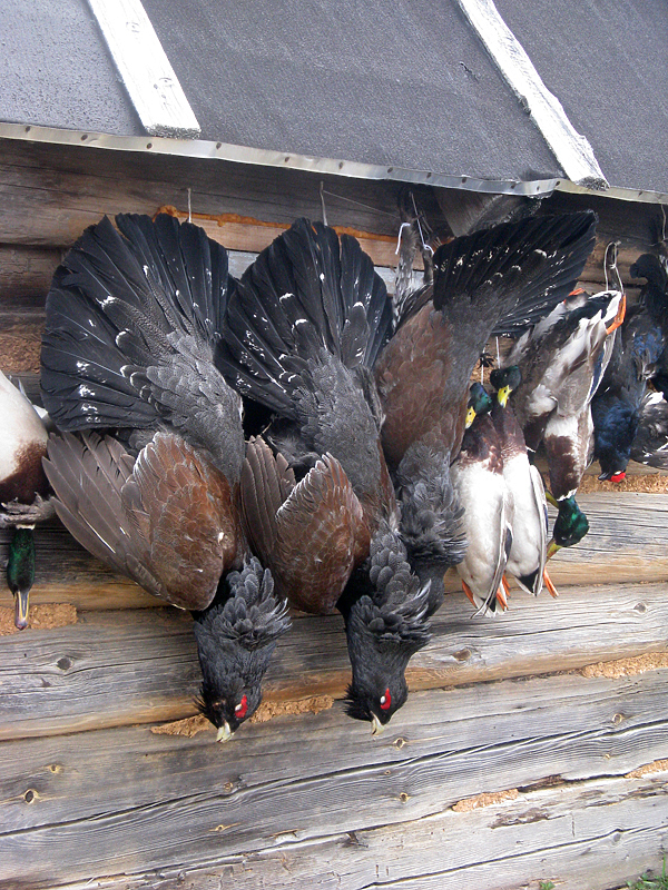 Изображение фото: Семина Михаила