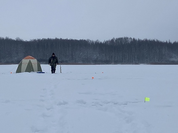Изображение Ориентировка по флажкам. Фото: Трембицкого Алексея.