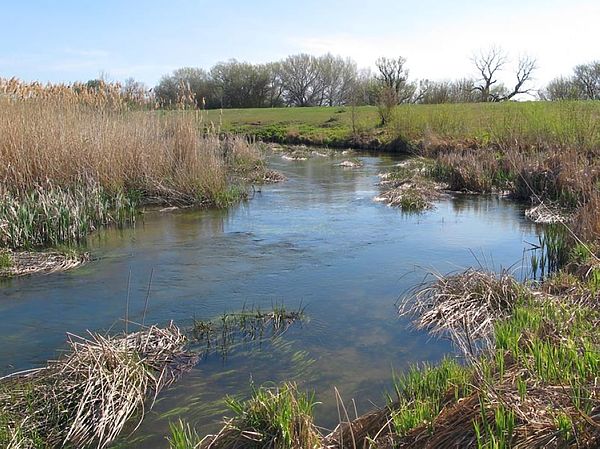 Изображение Фото: Алексей Коломиец. 