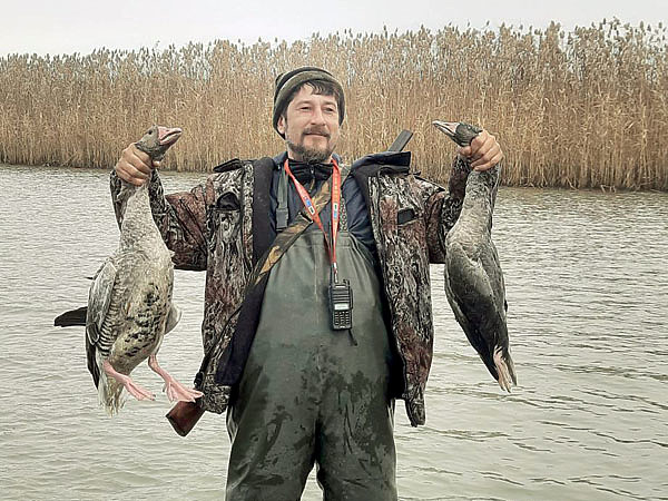 Изображение Два серых гуся — весомая добыча. Фото автора.