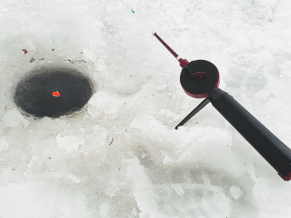 Изображение Фото автора.