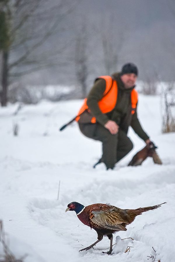 Изображение фото: из архива редакции 