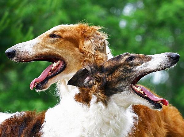 Изображение Фото: Fotolia.com