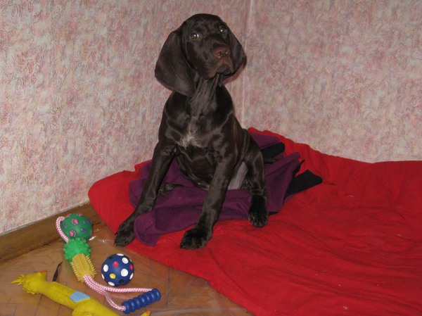 Изображение фото: Михаила Сёмина