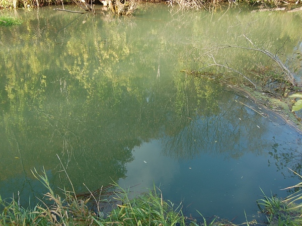 Изображение Фото: Андрей Яншевский. 