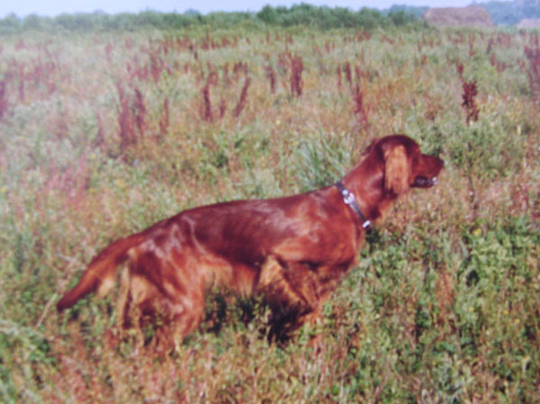 Изображение Фото автора. 