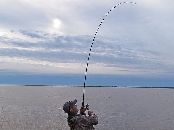 Изображение Фото: Алексей Коломиец.