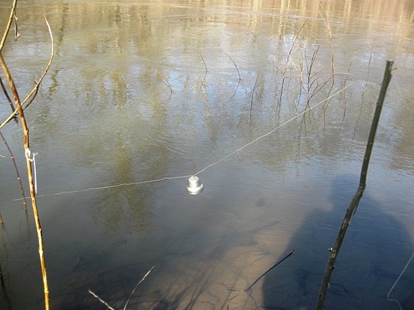 Изображение Фото: Токарева Александра.