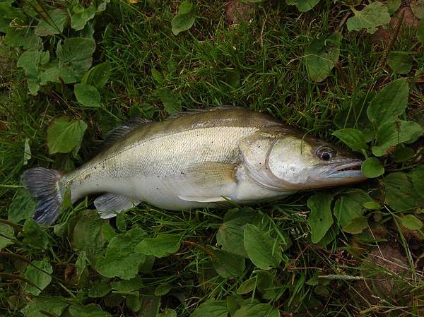 Изображение Фото: Яншевского Андрея. 