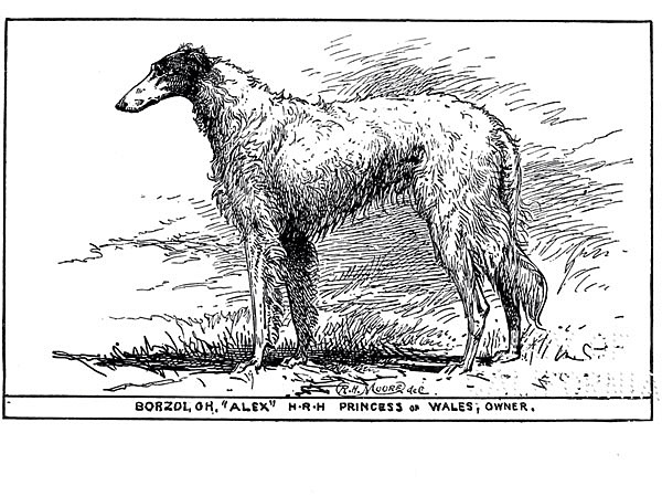 Изображение ИЛЛЮСТРАЦИЯ R.H. MOORE