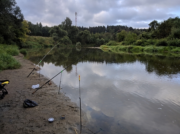 Изображение Боевая позиция. Фото: Трембицкого Алексея. 