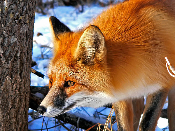 Изображение Фото: Fotolia.com