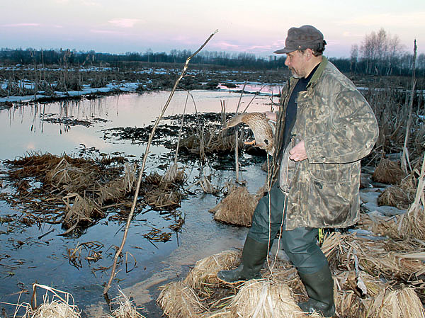 Изображение Вызаривание подсадной утки. ФОТО СЕРГЕЯ ФОКИНА