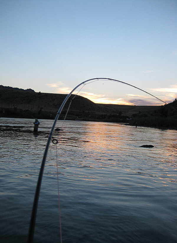 Изображение Фото: Алексей Коломиец.