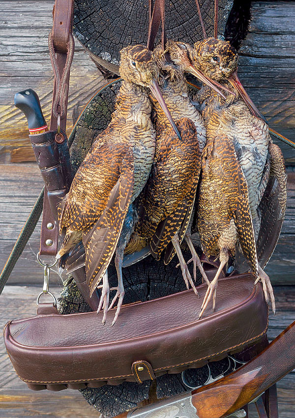 Изображение ФОТО SHUTTERSTOCK