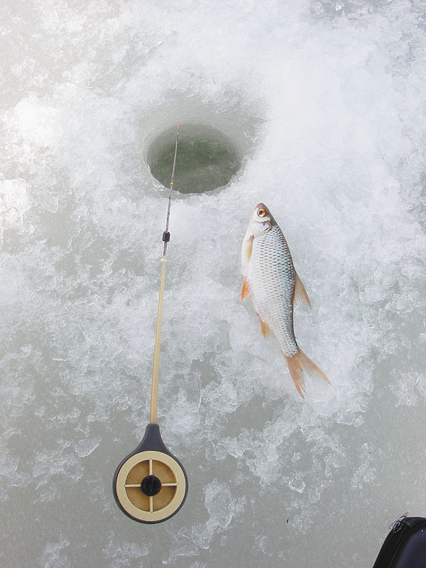 Изображение Фото: Маилкова Анатолия.