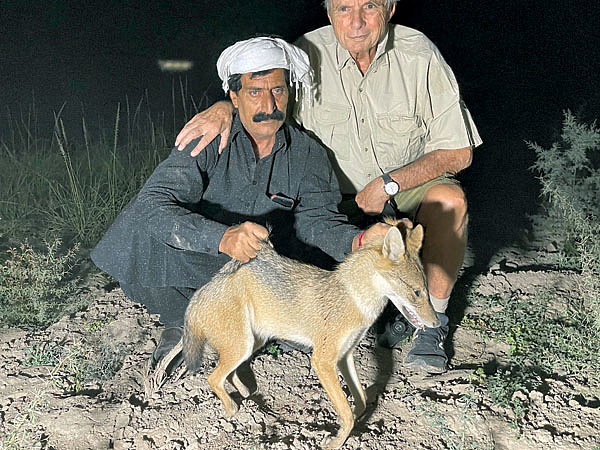 Изображение Ночной пройдоха — шакал, брат Табаки. Фото автора.