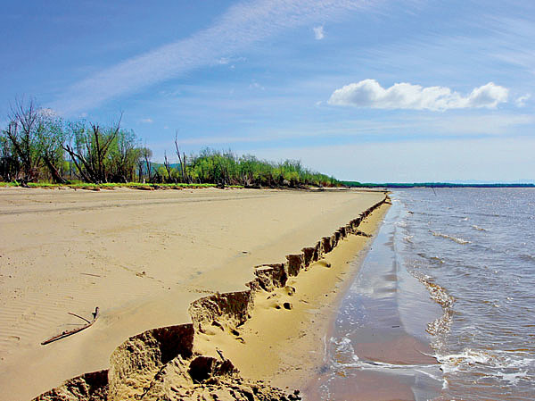 Изображение Фото: Алексей Потехин.