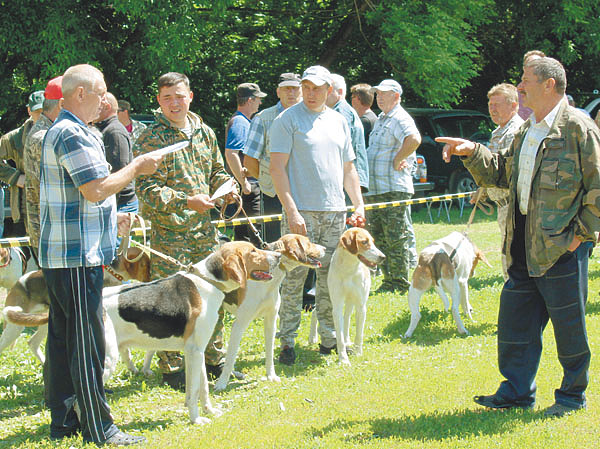 Изображение Фото автора. 