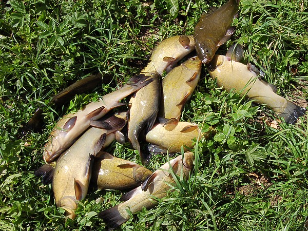 Изображение Фото: Яншевского Андрея. 