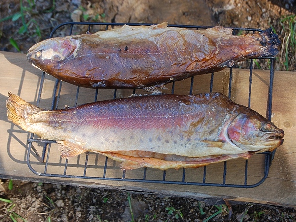 Изображение Фото: Яншевского Андрея.