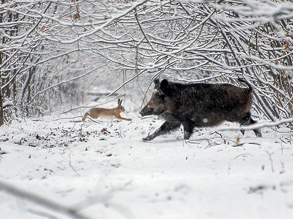 Изображение Стоя на номере, можно увидеть то, во что другим трудно поверить. ФОТО: SHUTTERSTOCK